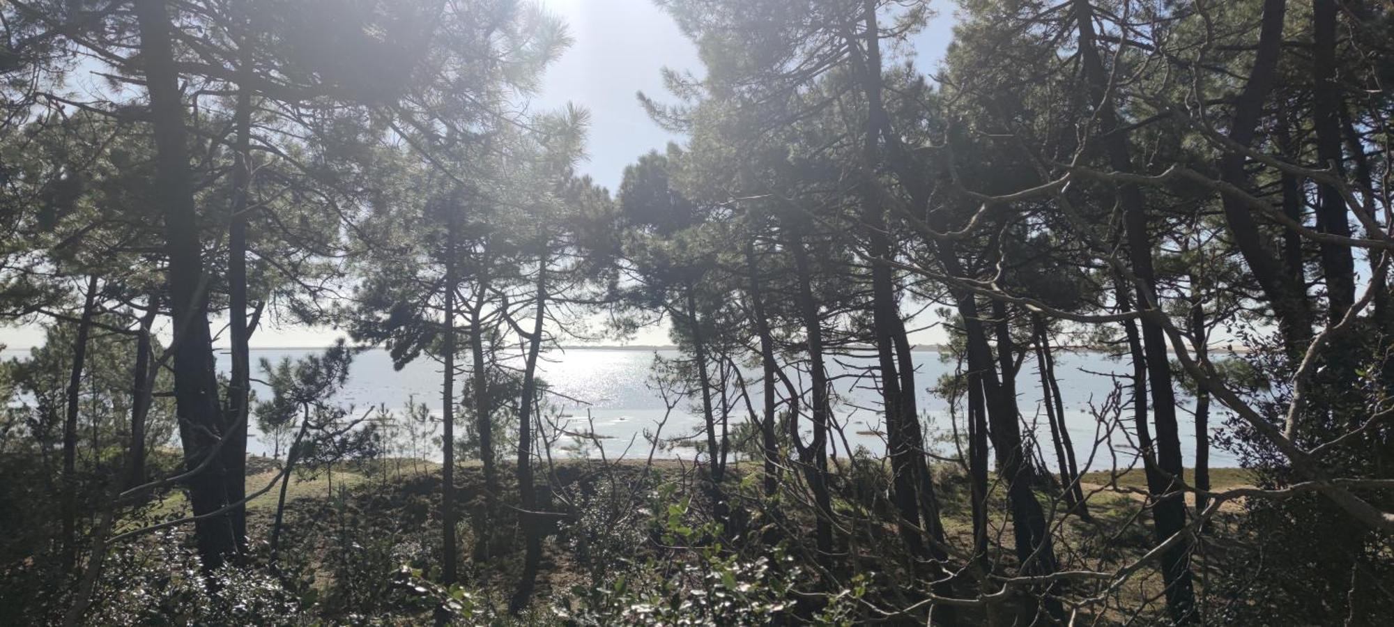 Mobil-Home - Camping Siblu Bonne Anse Plage Les Mathes Buitenkant foto
